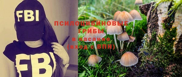 метадон Новозыбков