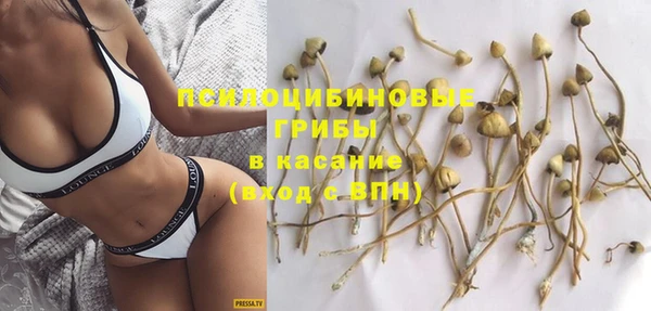 метадон Новозыбков