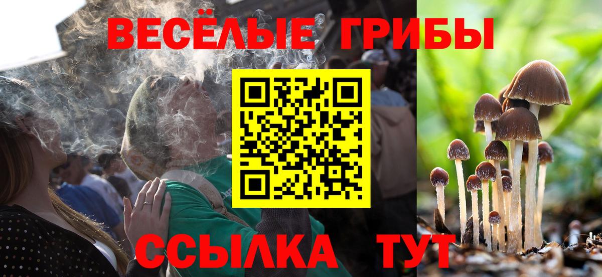 Галлюциногенные грибы мухоморы  Вход с VPN  Ярцево 